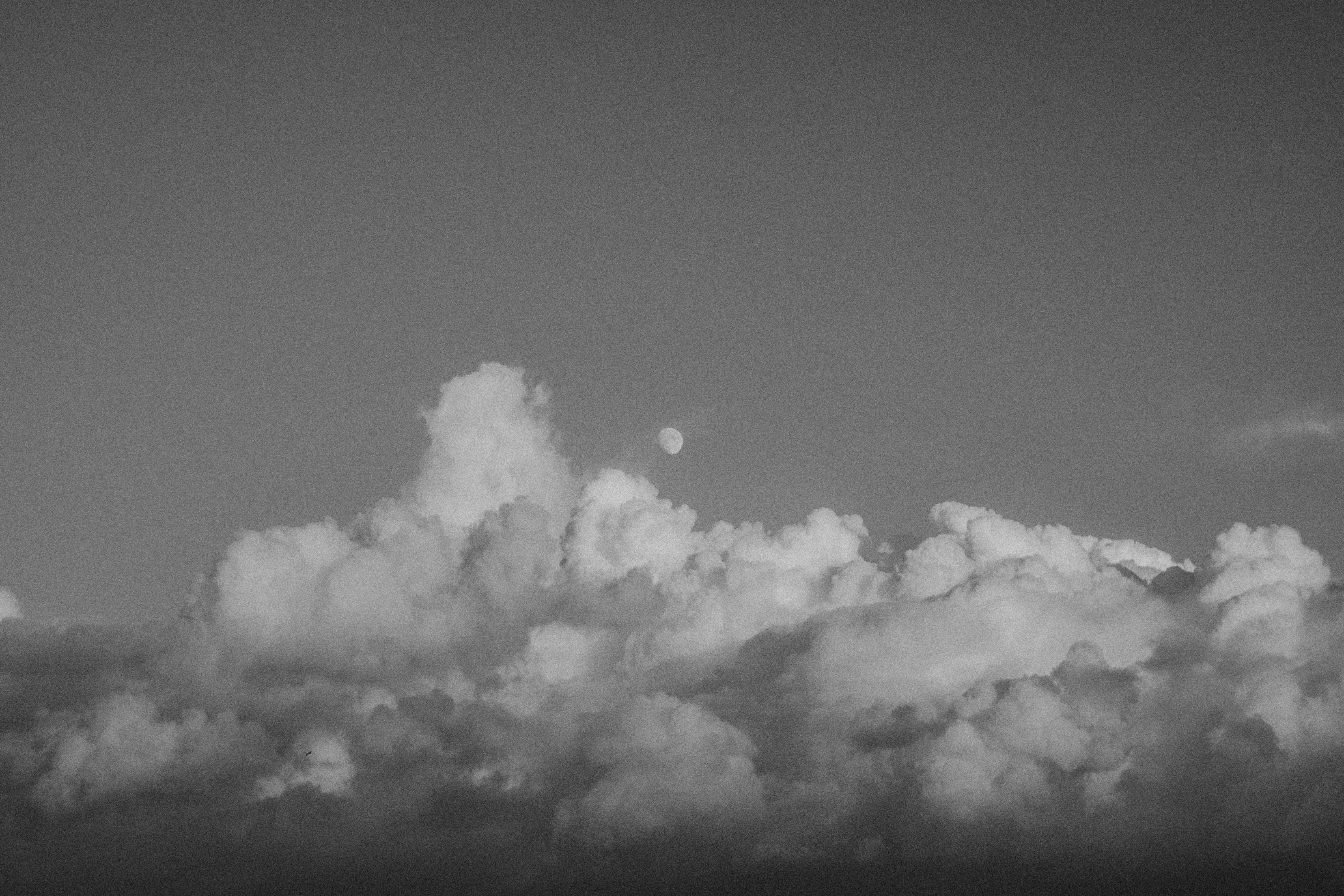 Photo by bilelzaghdoudi