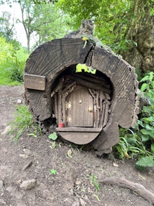 a small wooden door in a rock