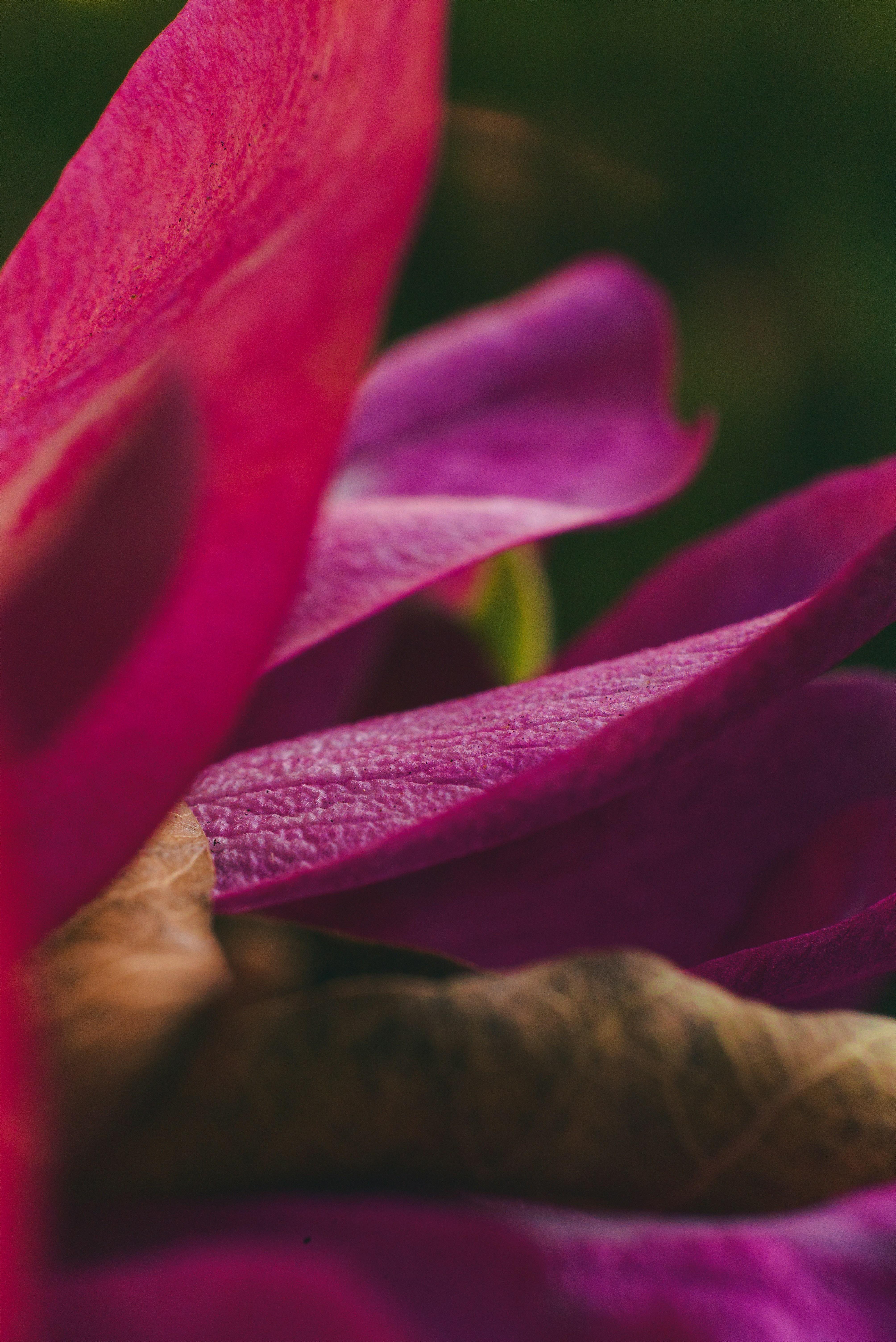 Photo by donovandeanphoto