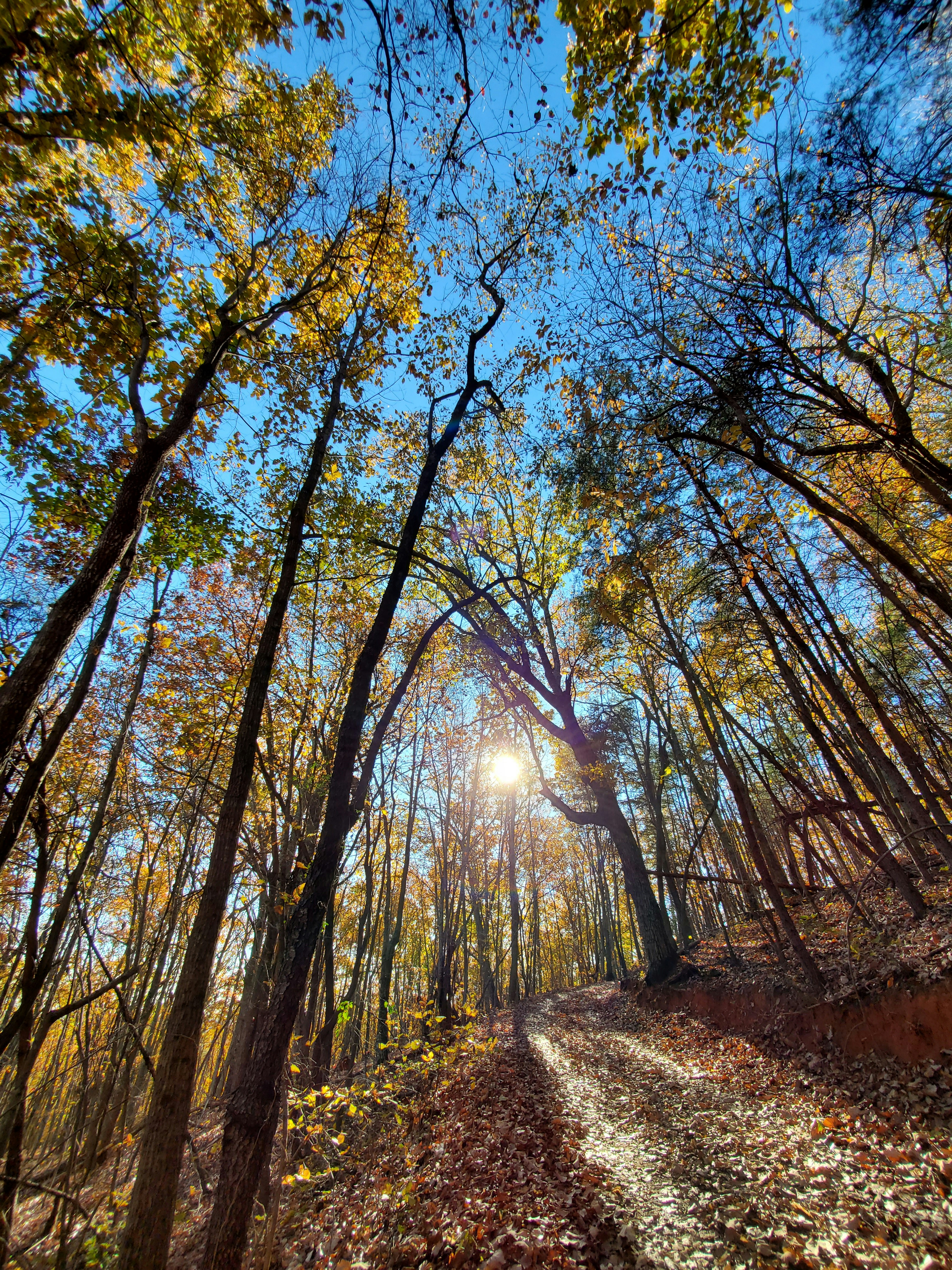 Photo by karolinabobek