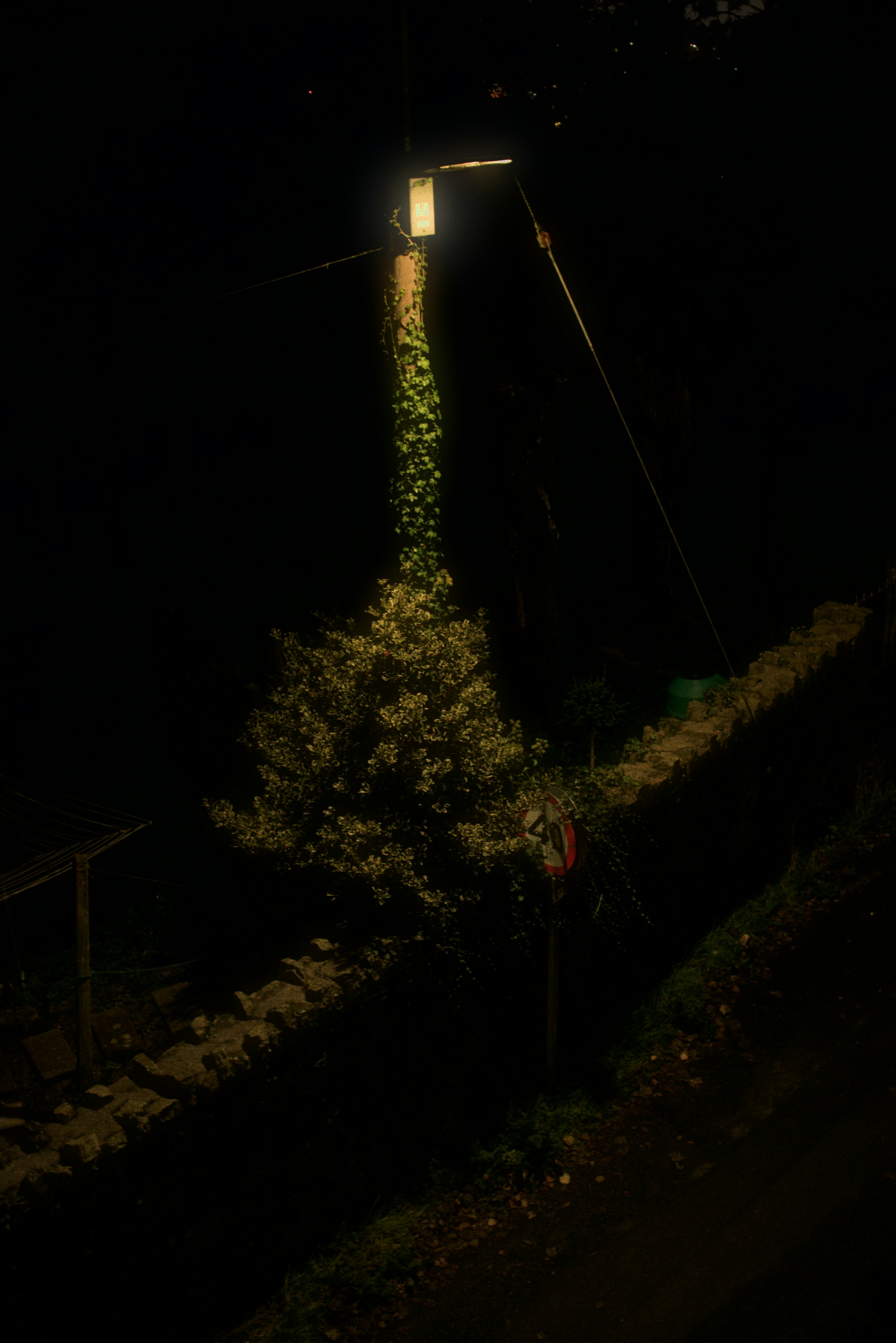 How Much Does a Light Pole Cost in 2024?