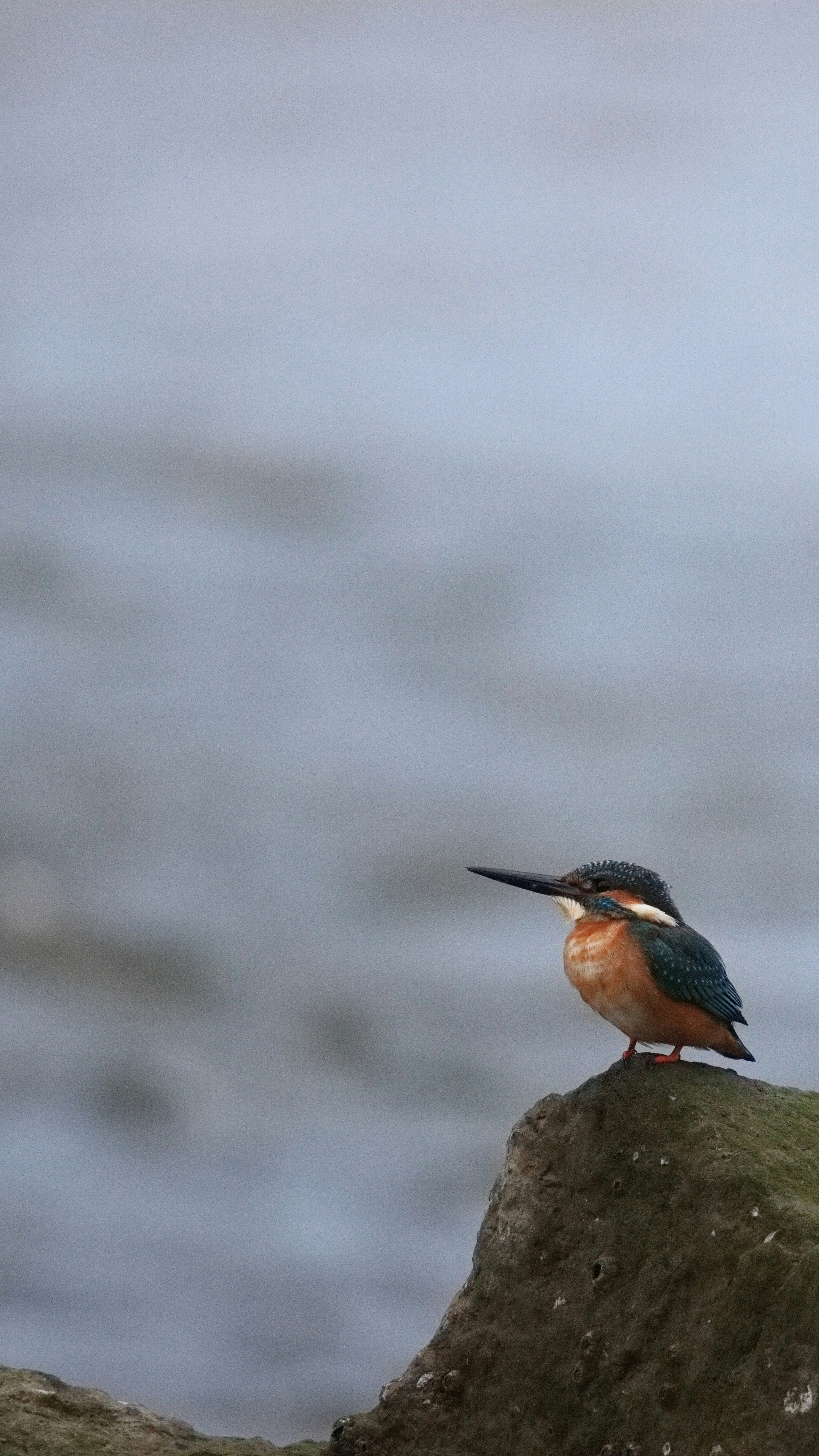 Photo by dickenslin76