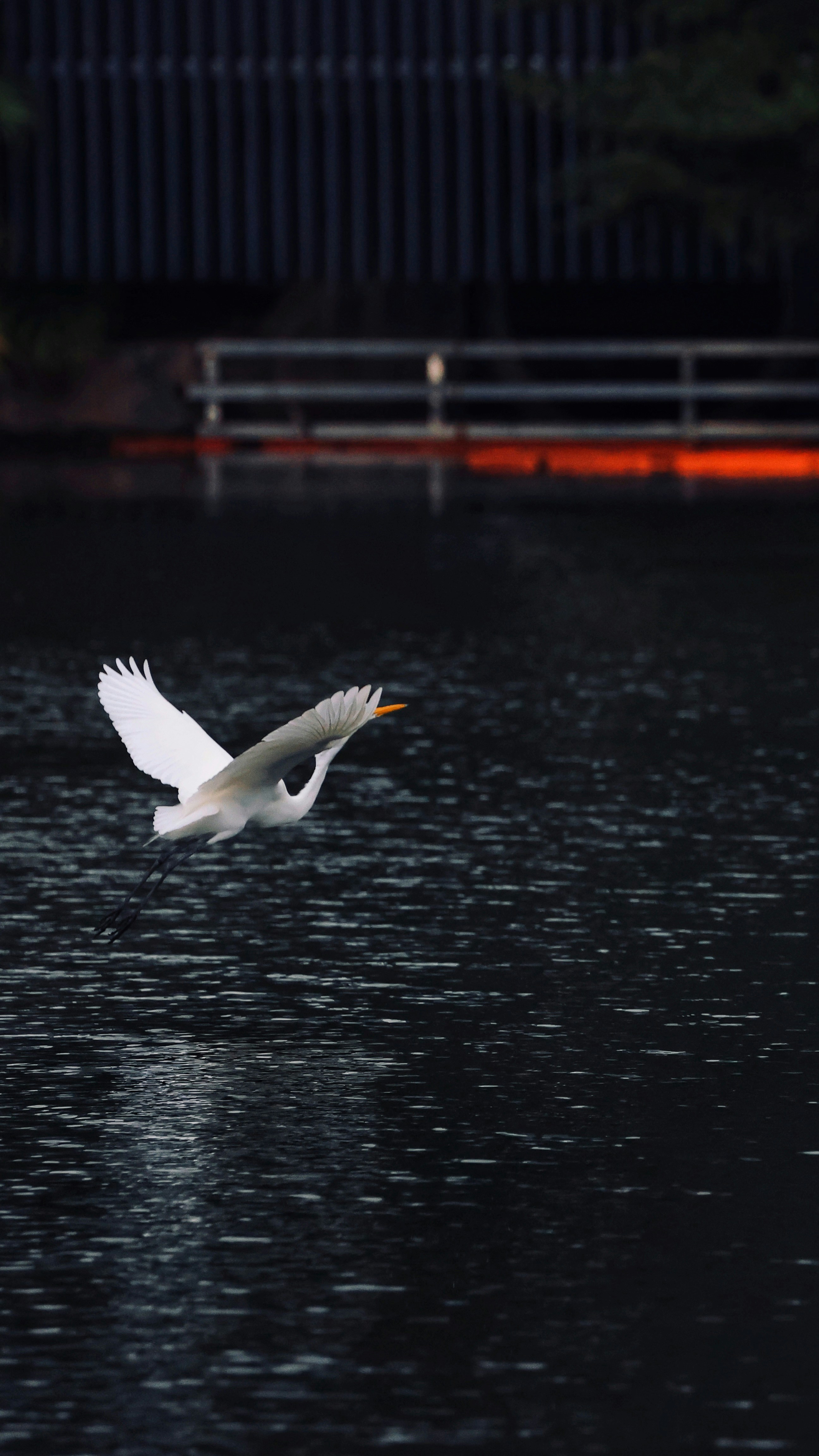 Photo by dickenslin76