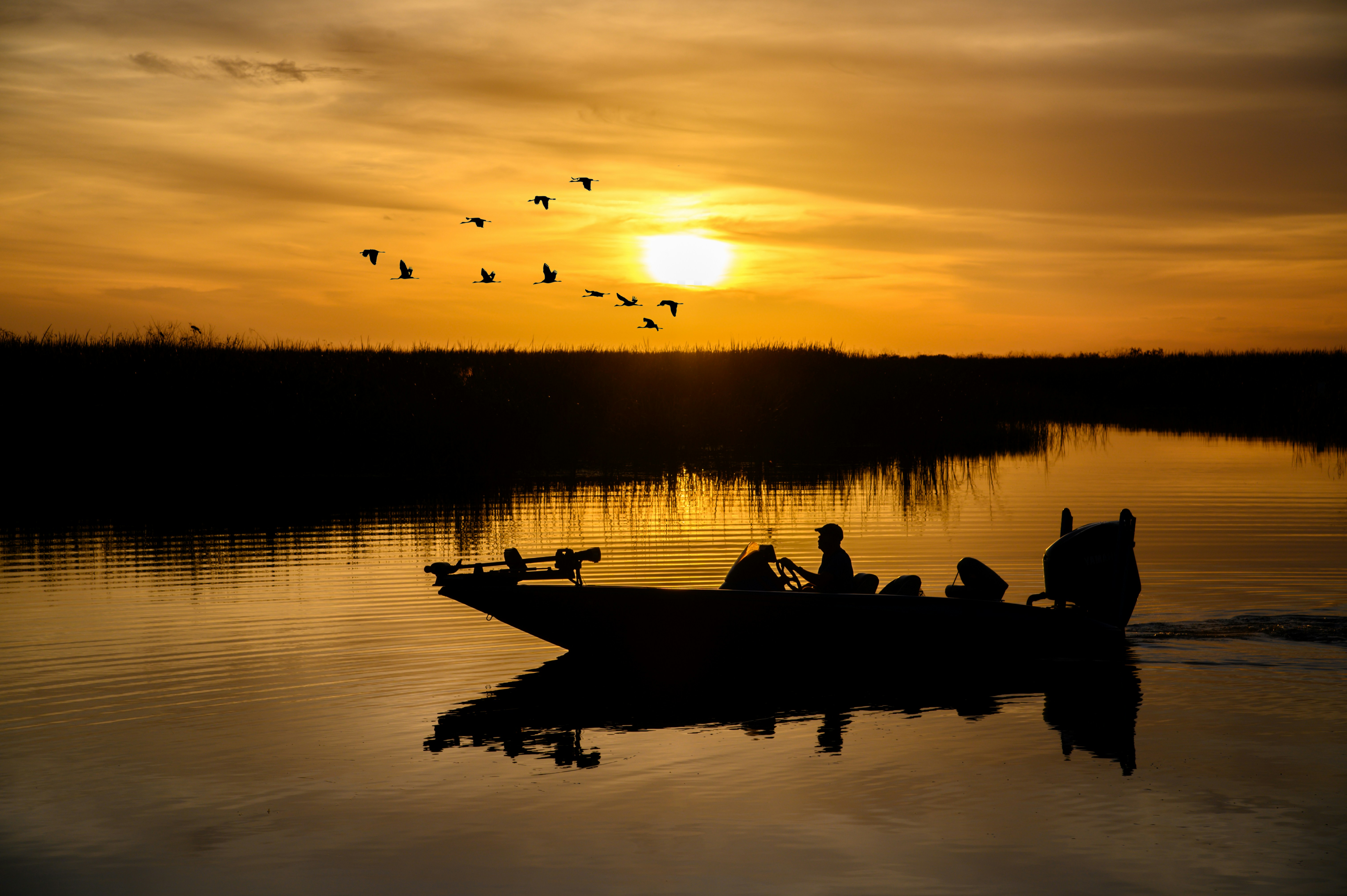 a group of people on a boat in the water with birds flying, Bass boat