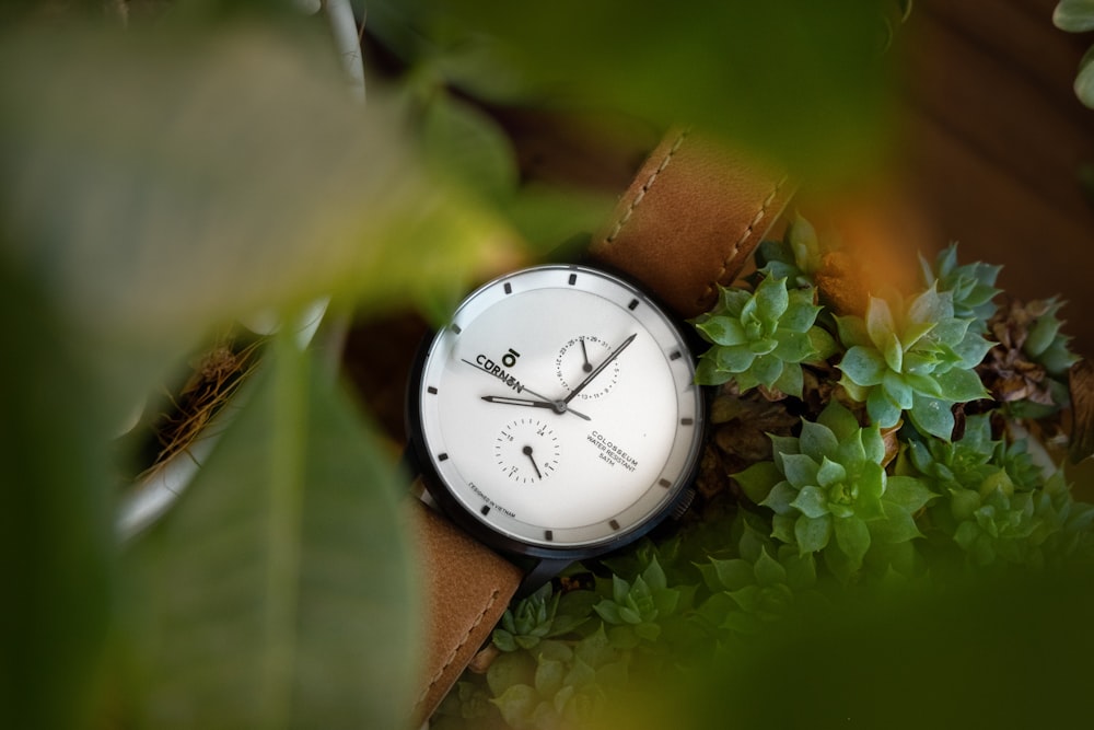 葉の上の時計