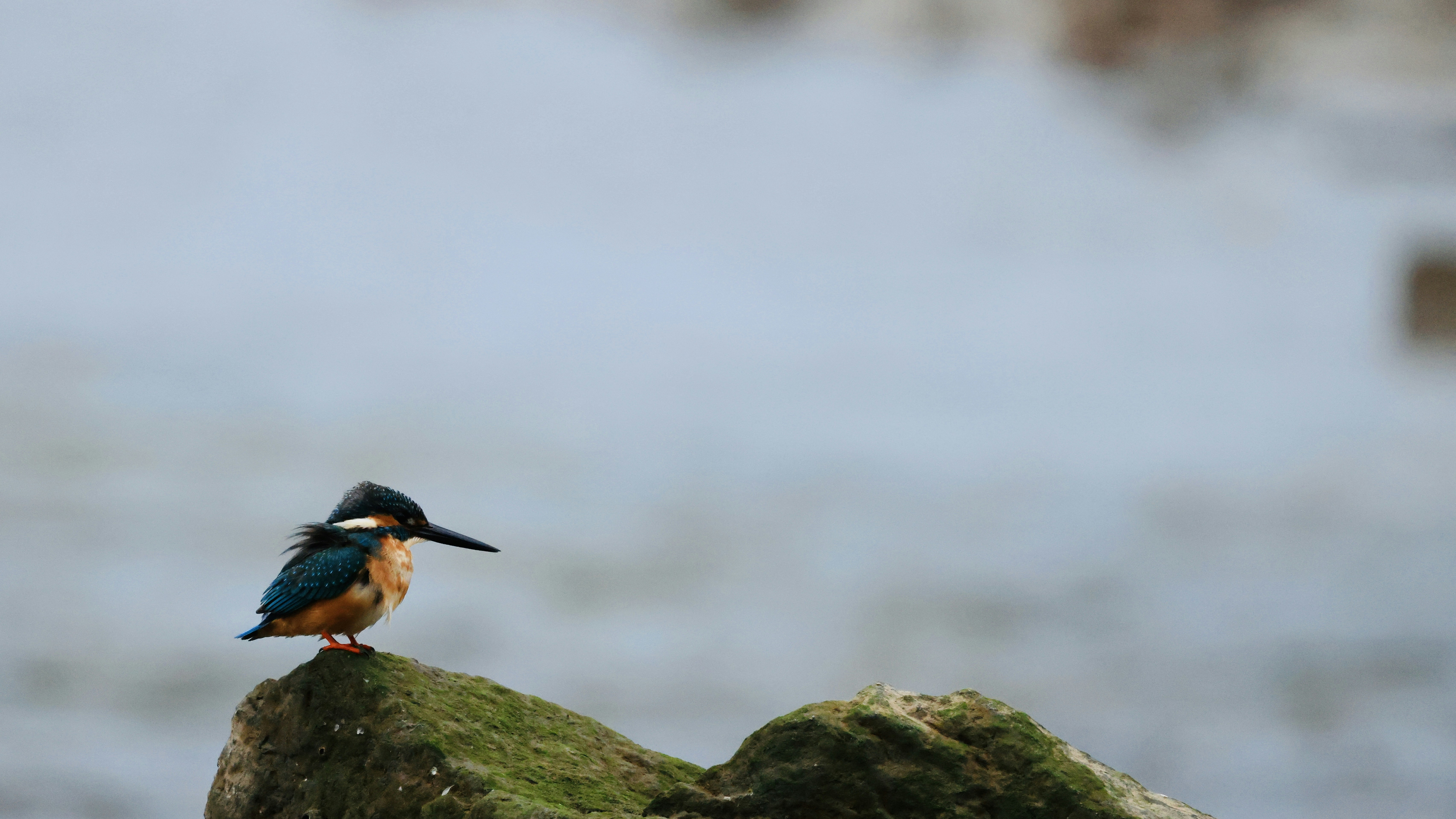 Photo by dickenslin76