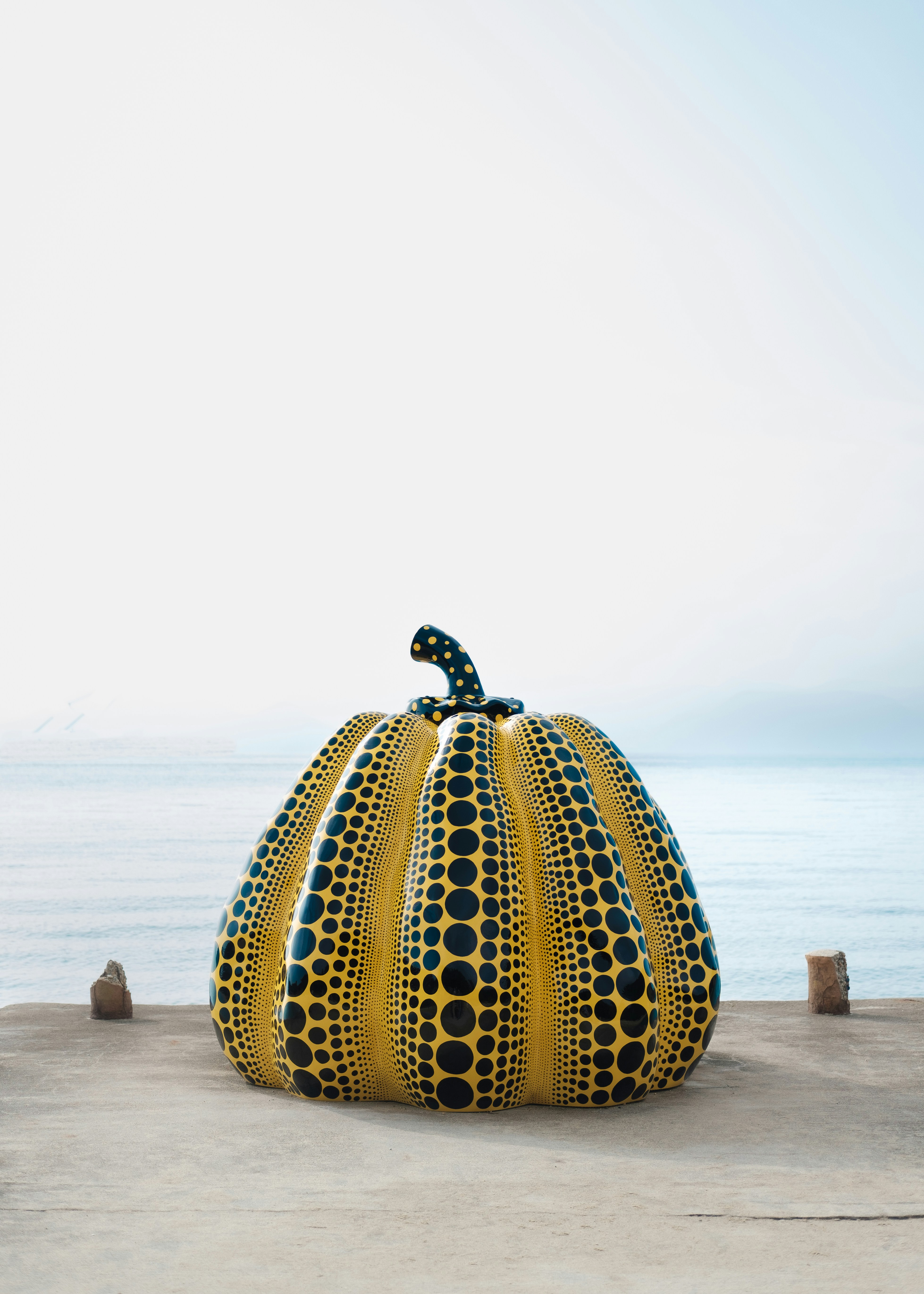 A yellow and black fruit photo Free Naoshima Image on Unsplash