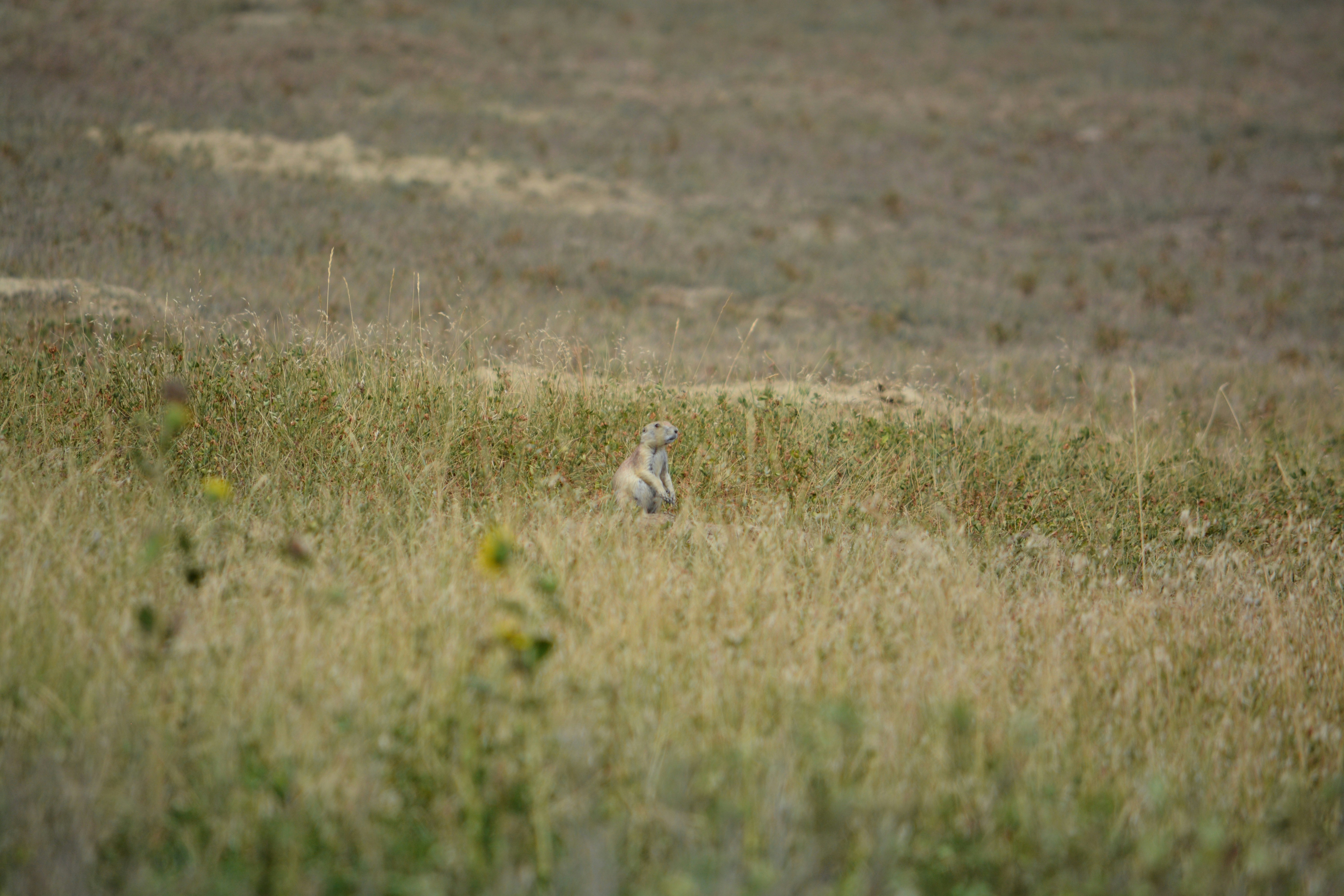 Photo by daniel_barr