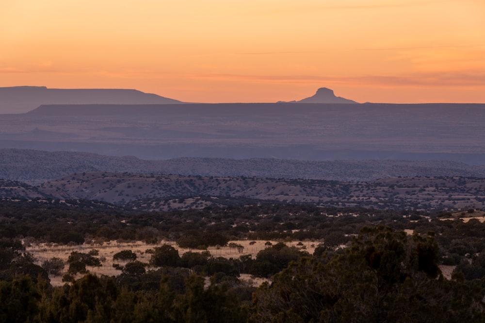 uma paisagem com árvores e uma montanha à distância