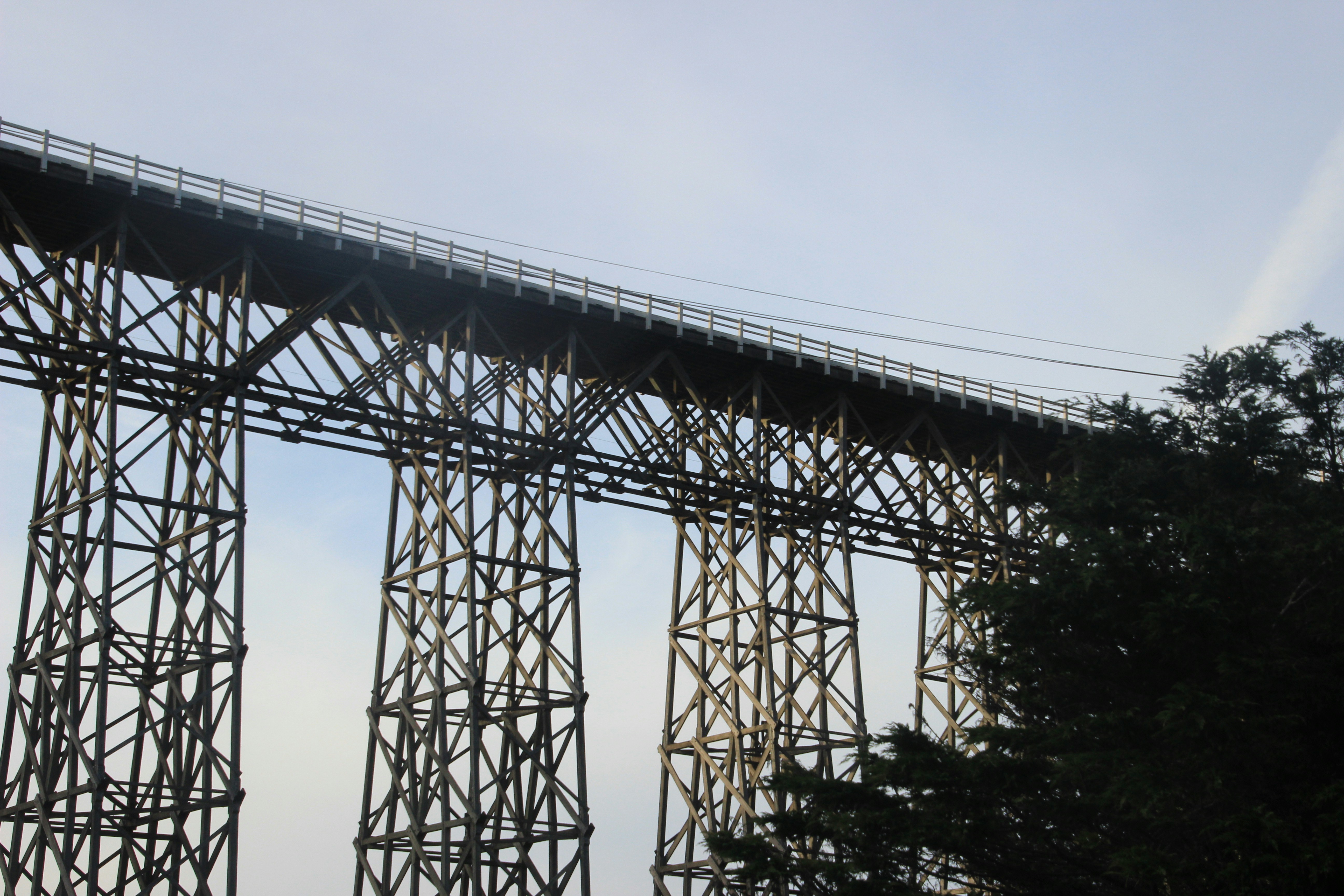 Photo by rccraftphoto