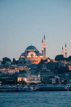 a city with a domed building
