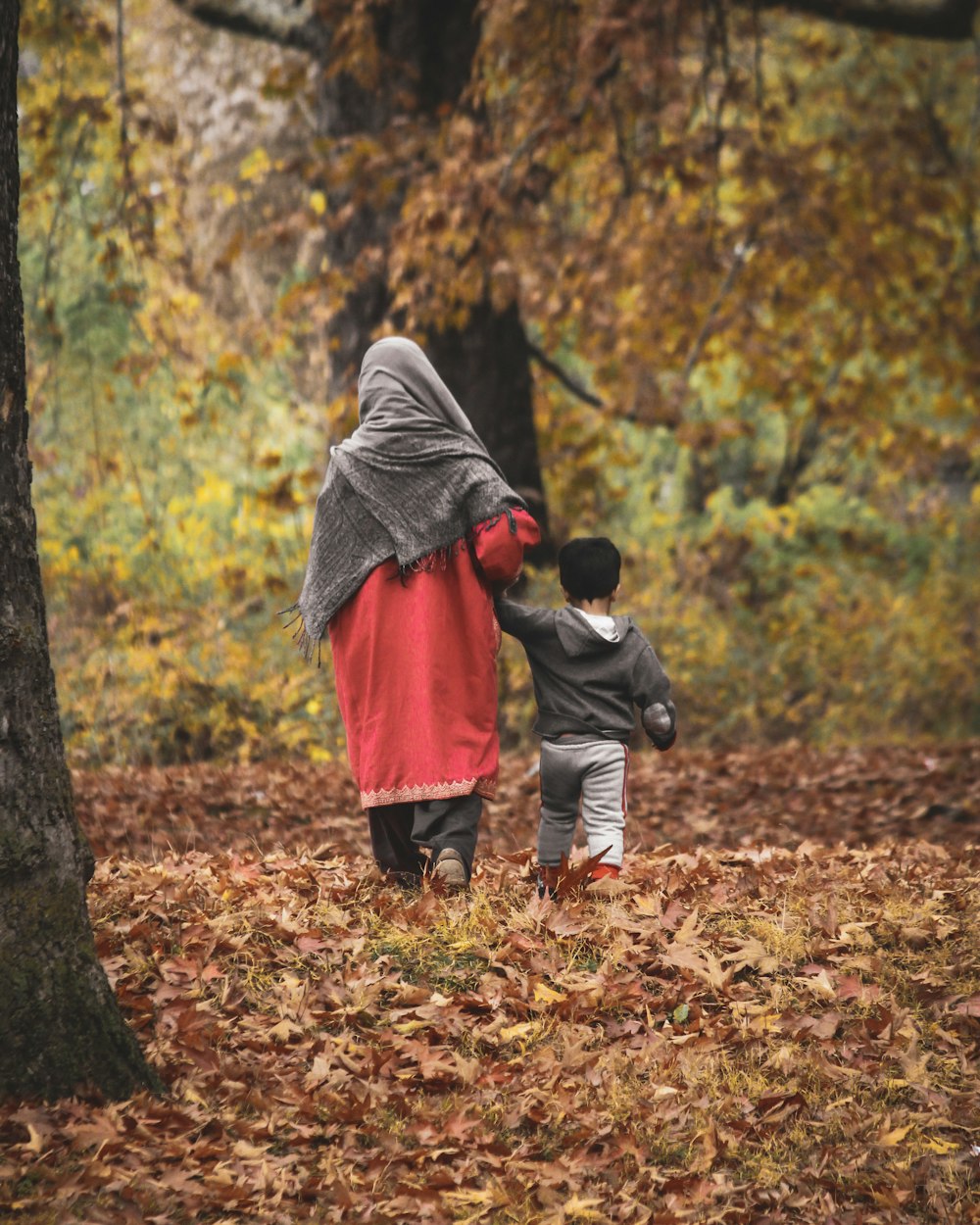 a person and a child walking in the woods