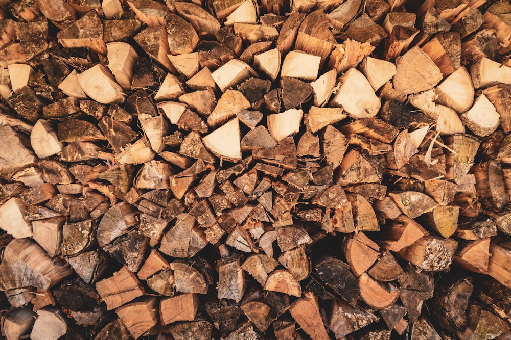 a pile of cut logs