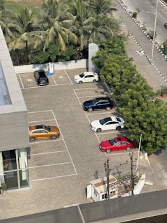 An aerial view of a parking lot with multiple cars parked in designated spaces. The lot is surrounded by palm trees and greenery, with a paved road running alongside. Cars of different colors, including white, red, blue, and orange, are visible. A building with glass windows is adjacent to the parking area.