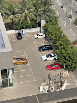 An aerial view of a parking lot with multiple cars parked in designated spaces. The lot is surrounded by palm trees and greenery, with a paved road running alongside. Cars of different colors, including white, red, blue, and orange, are visible. A building with glass windows is adjacent to the parking area.