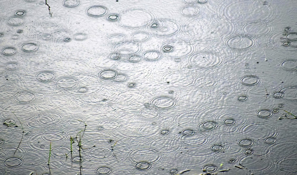 water droplets on a surface