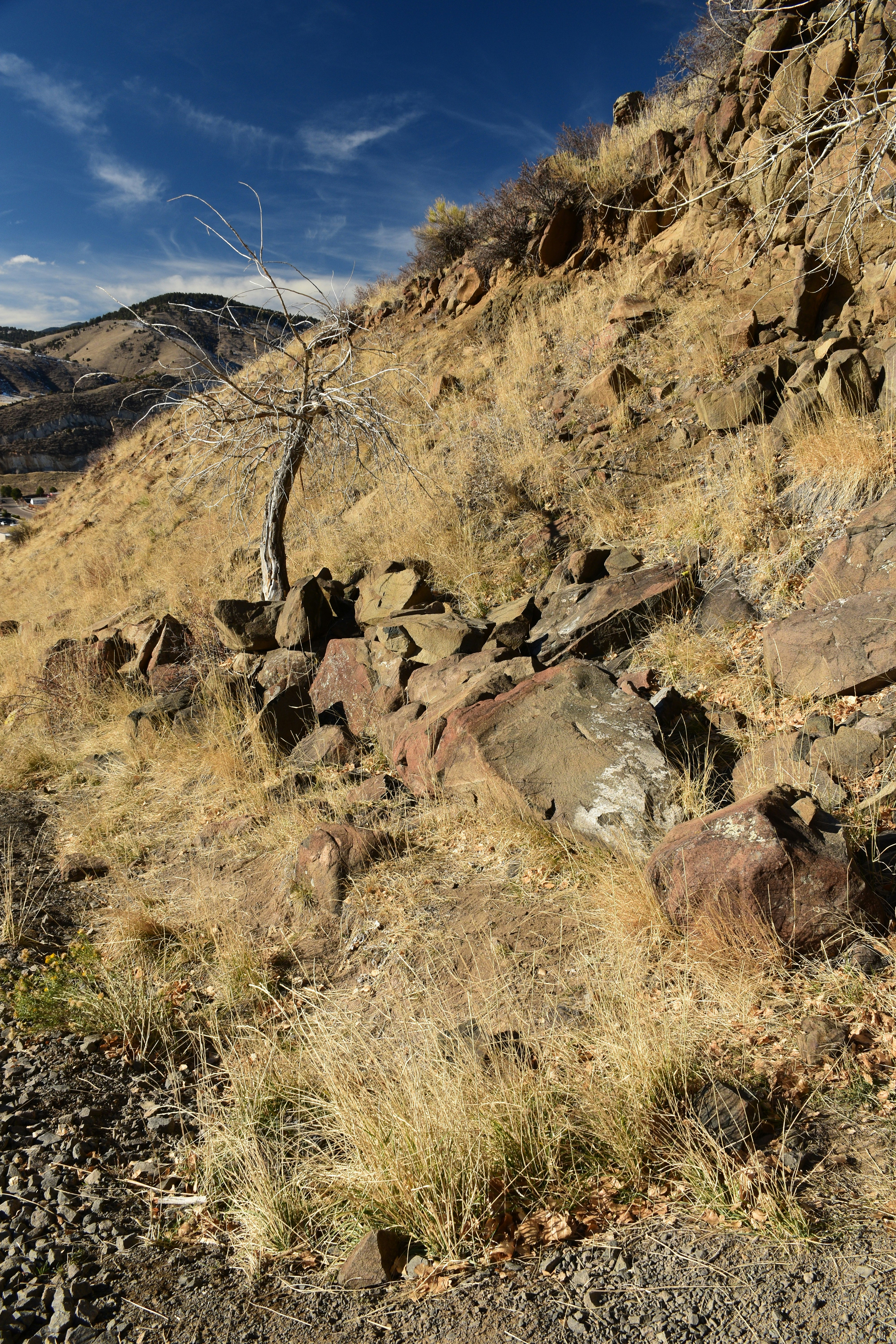 a rocky and dry landscape