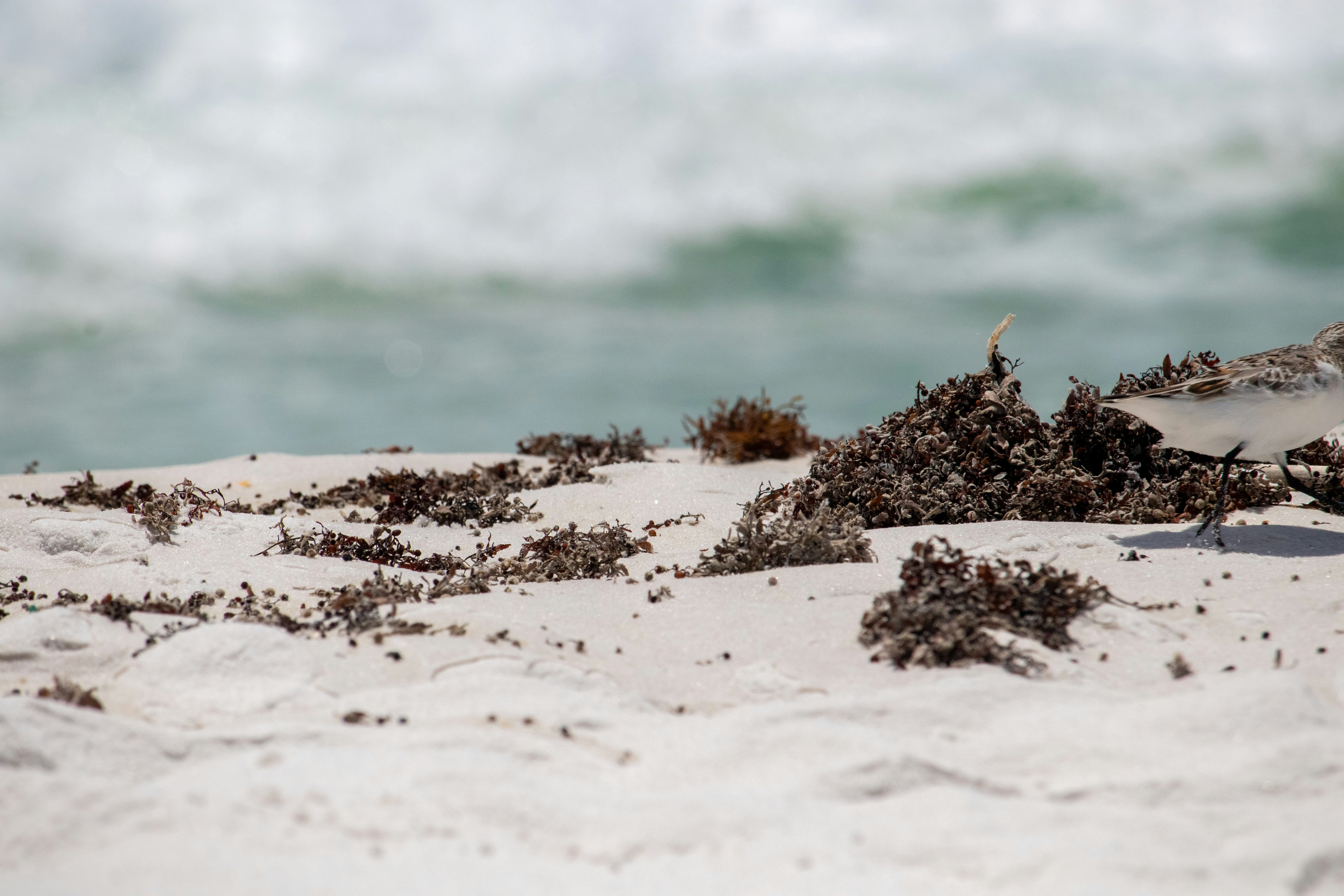 Timeless wardrobe essentials