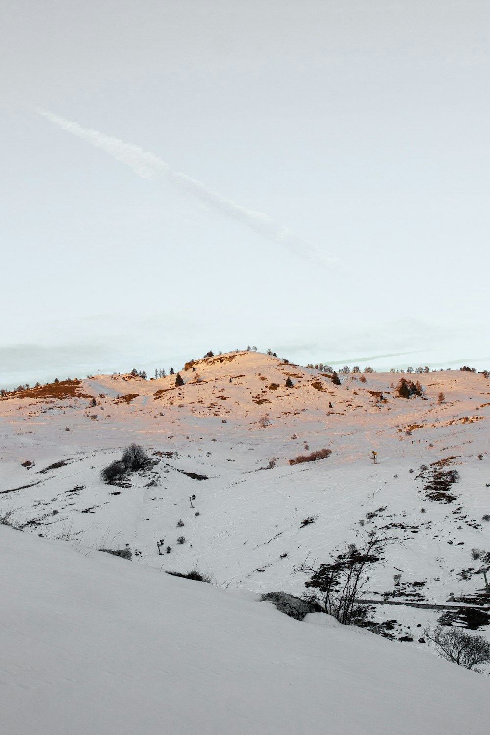 a snowy landscape with trees