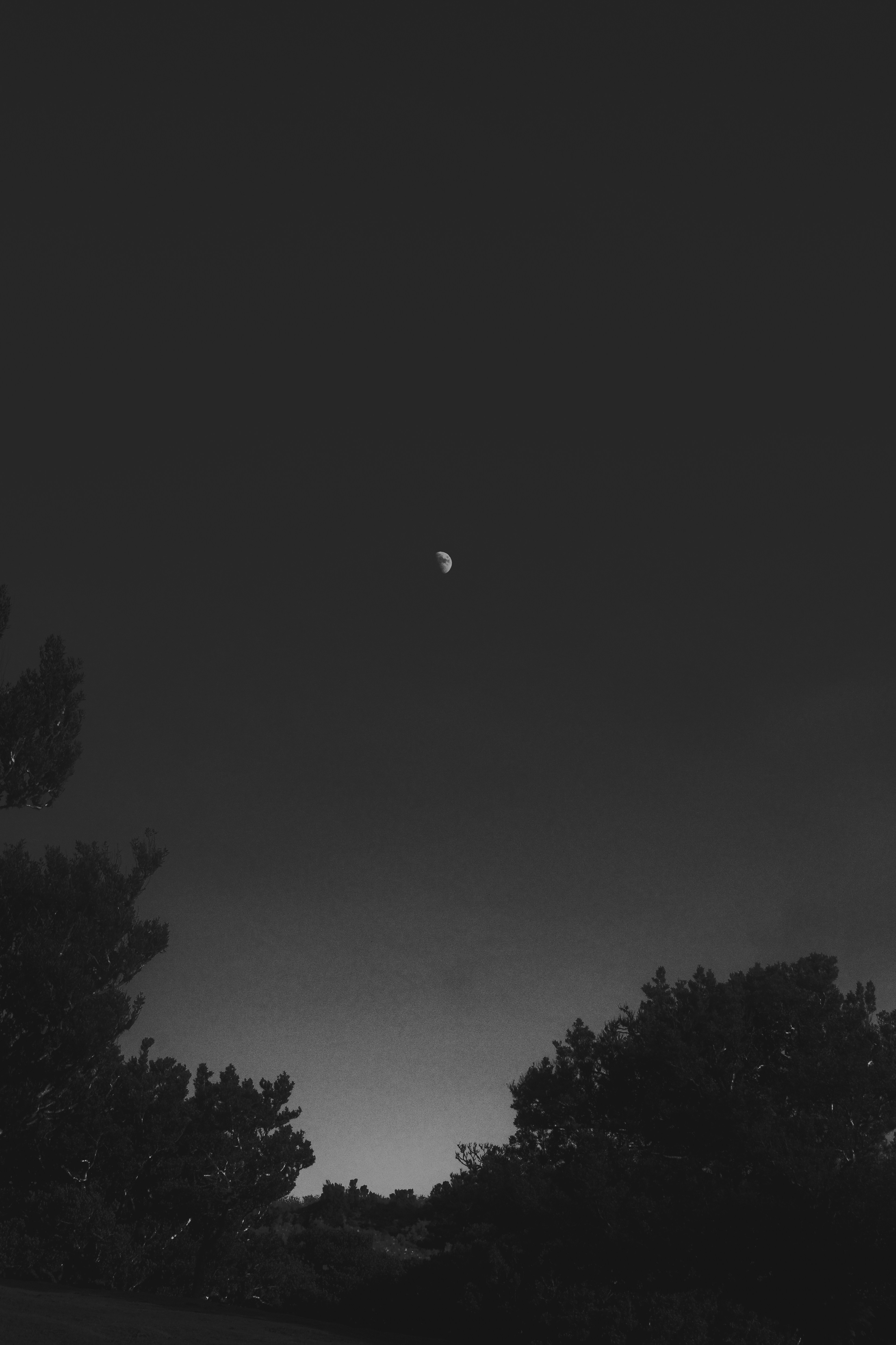 Photo by wheresalina