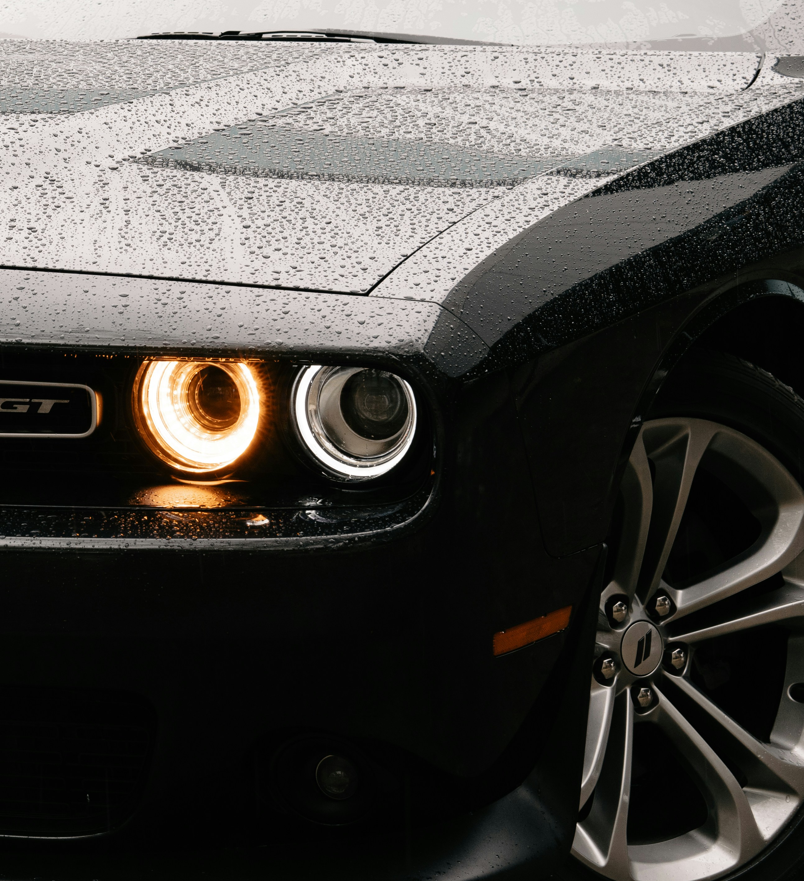 Black muscle car with fresh water beading after a wash