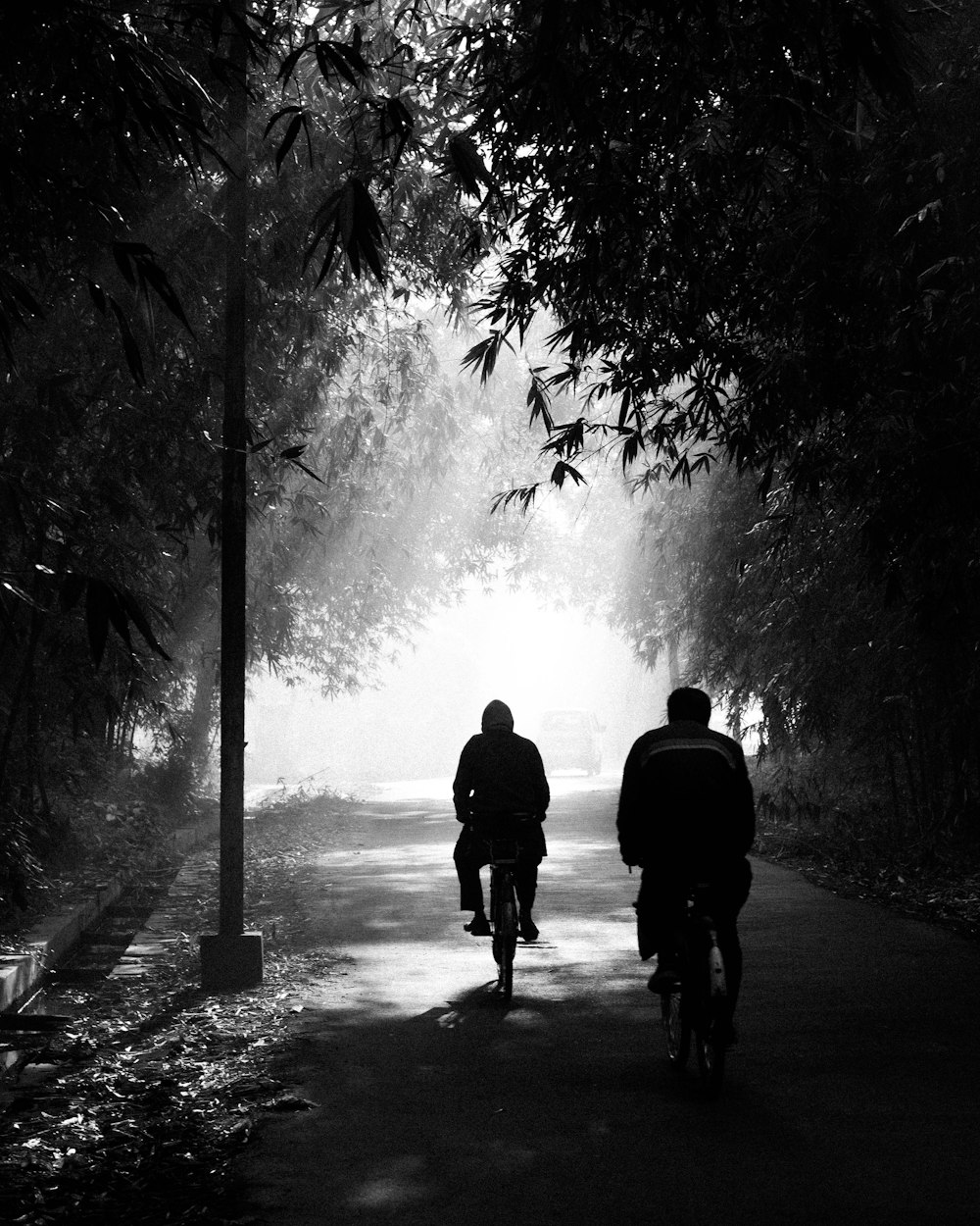 two people riding bikes on a path