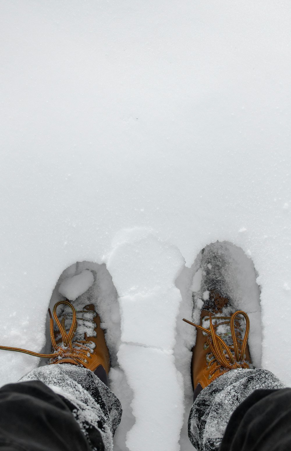 um par de pés na neve