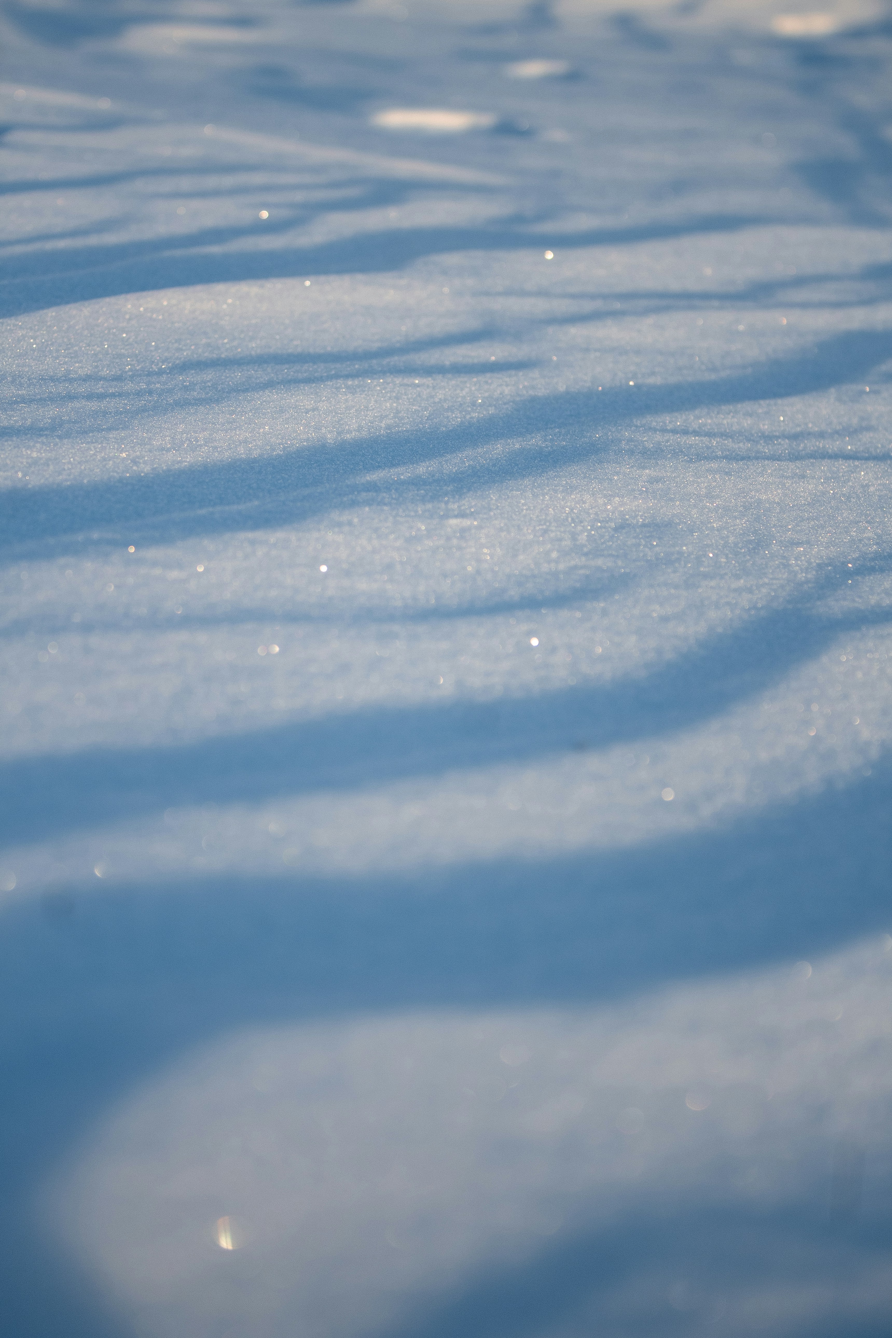 Photo by photosbyedoardo