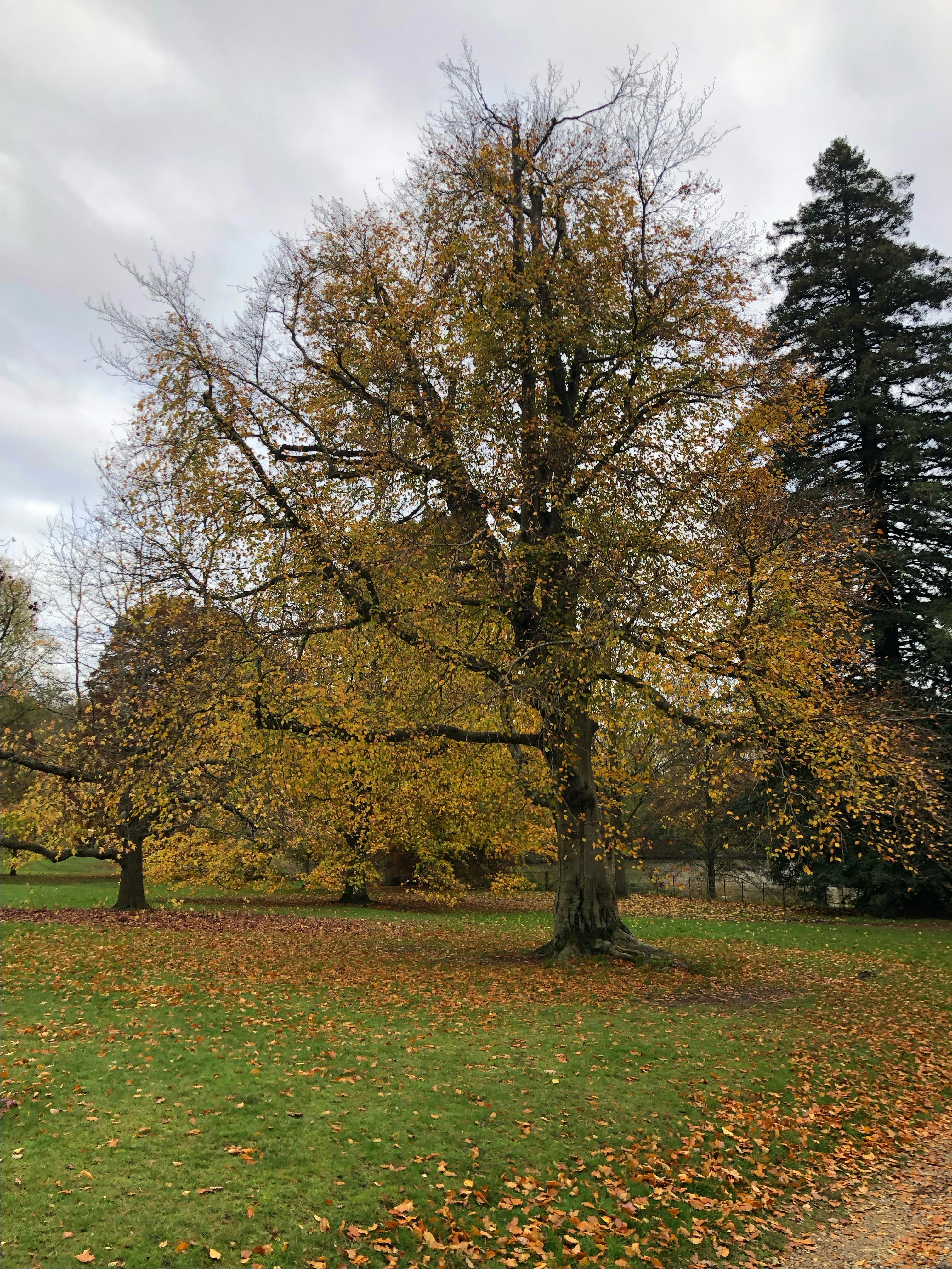 Photo by brett_jordan