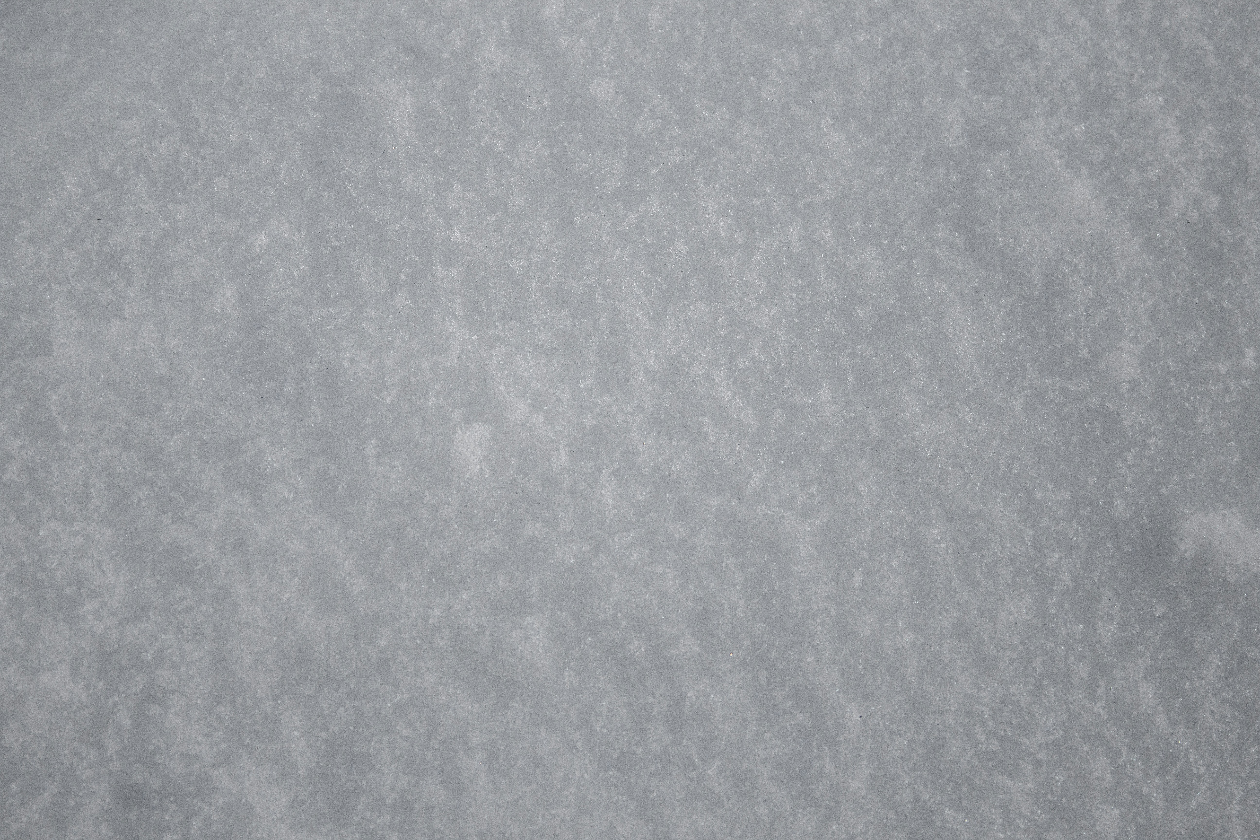 Photo by photosbyedoardo