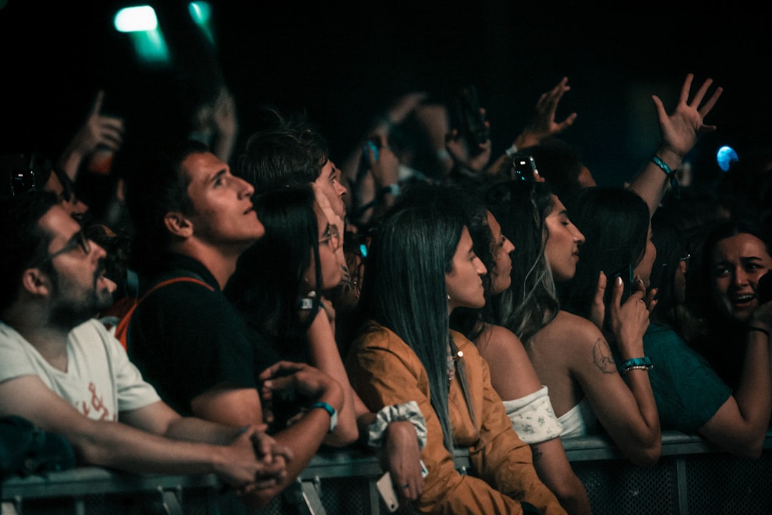 a crowd of people at a concert,