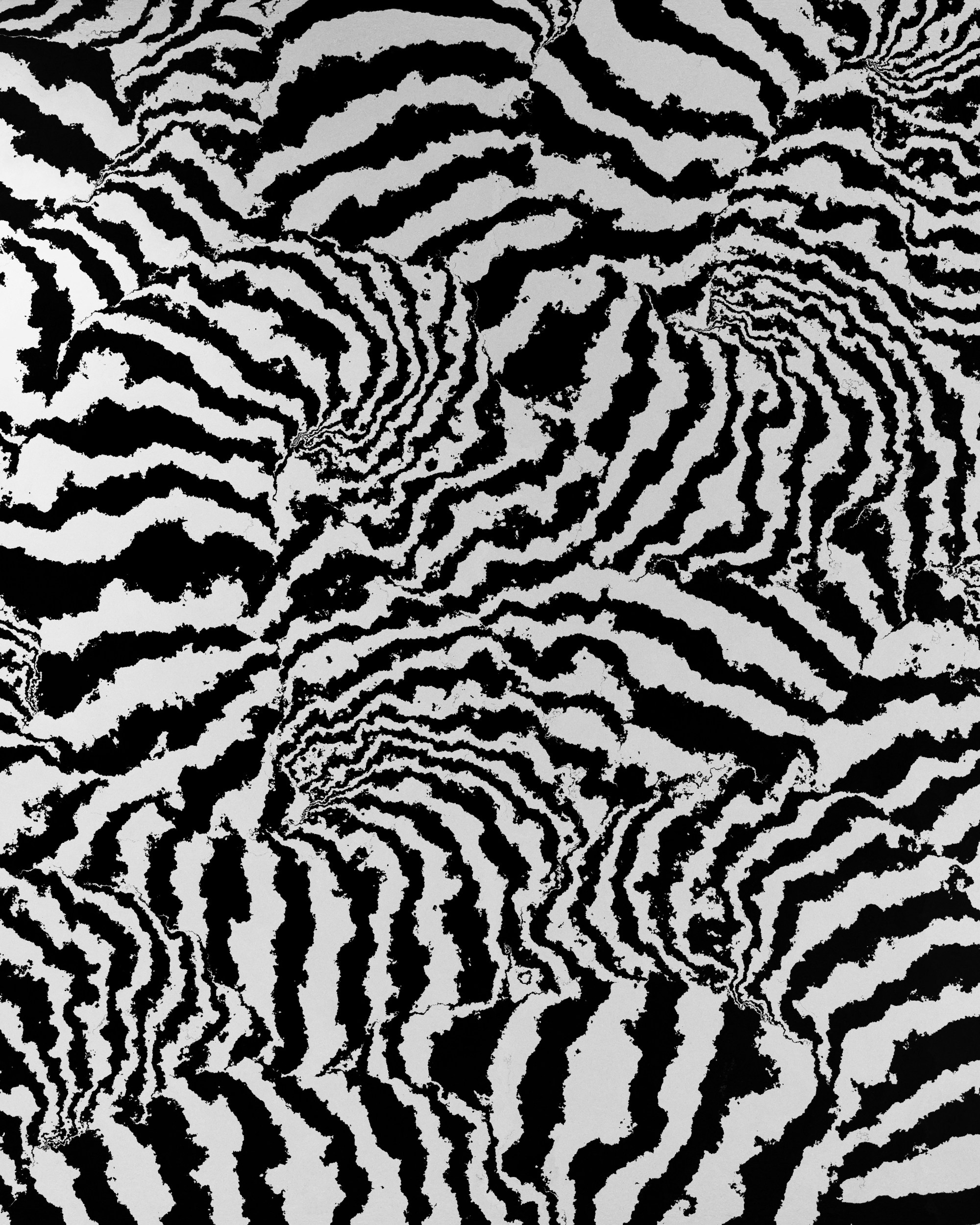 Ever Seen a Wacky Black & White Rug? Check These Out!!