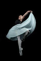 Elegant silhouette demonstrating integrated anatomy in a flowing dance pose.