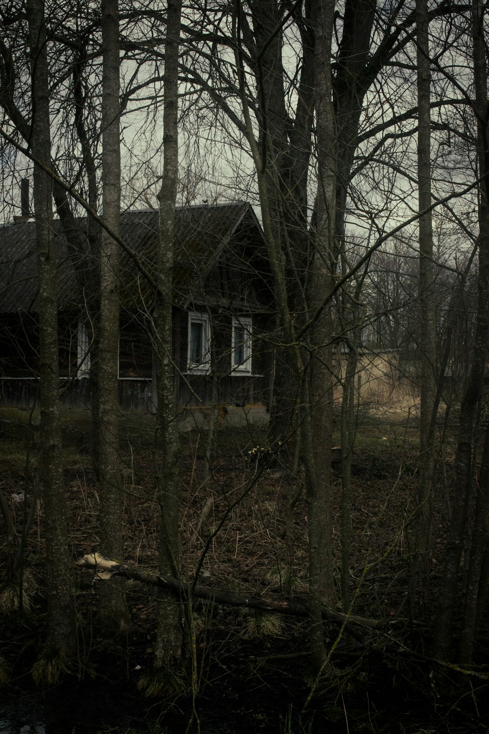 Une maison dans les bois