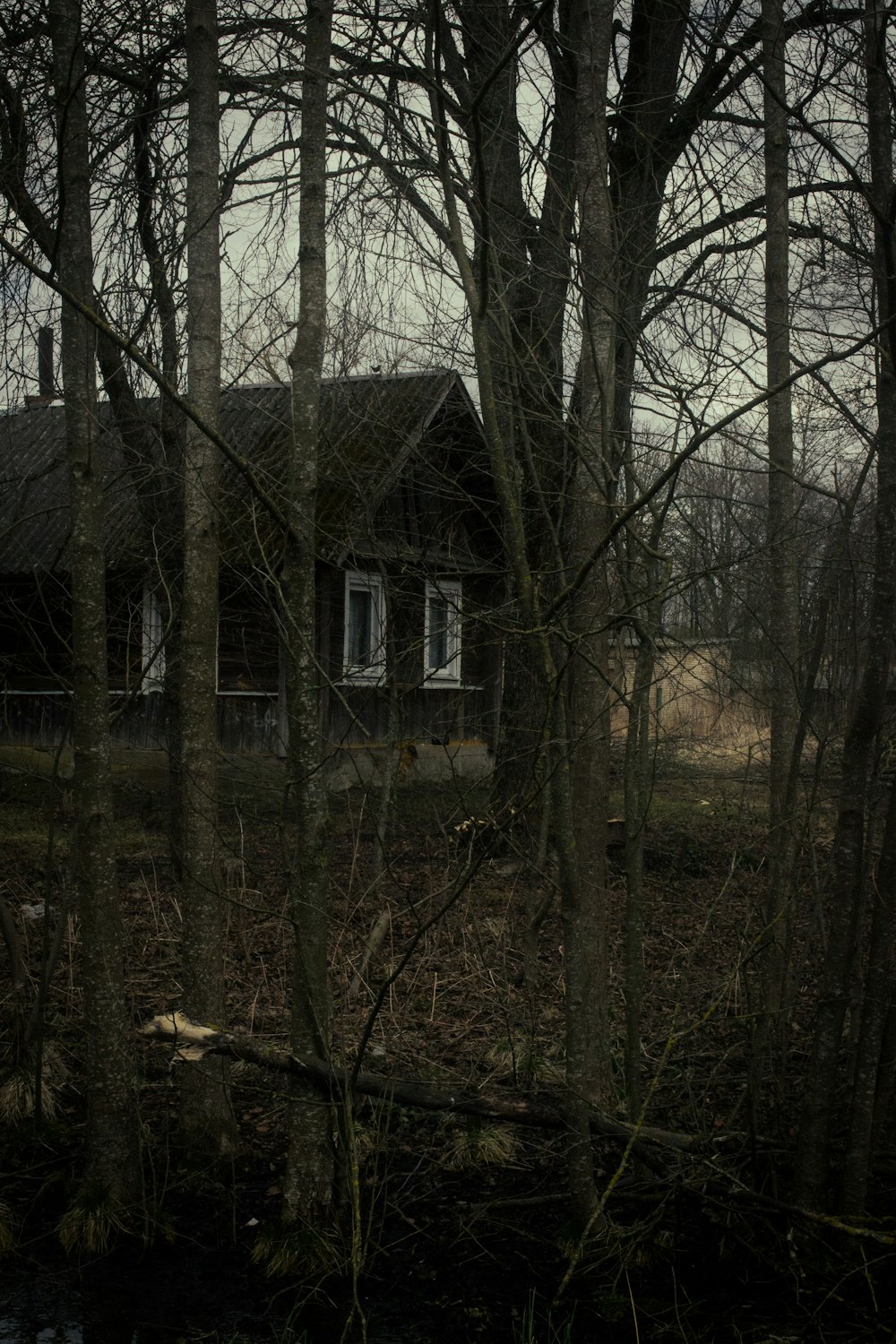 a house in the woods