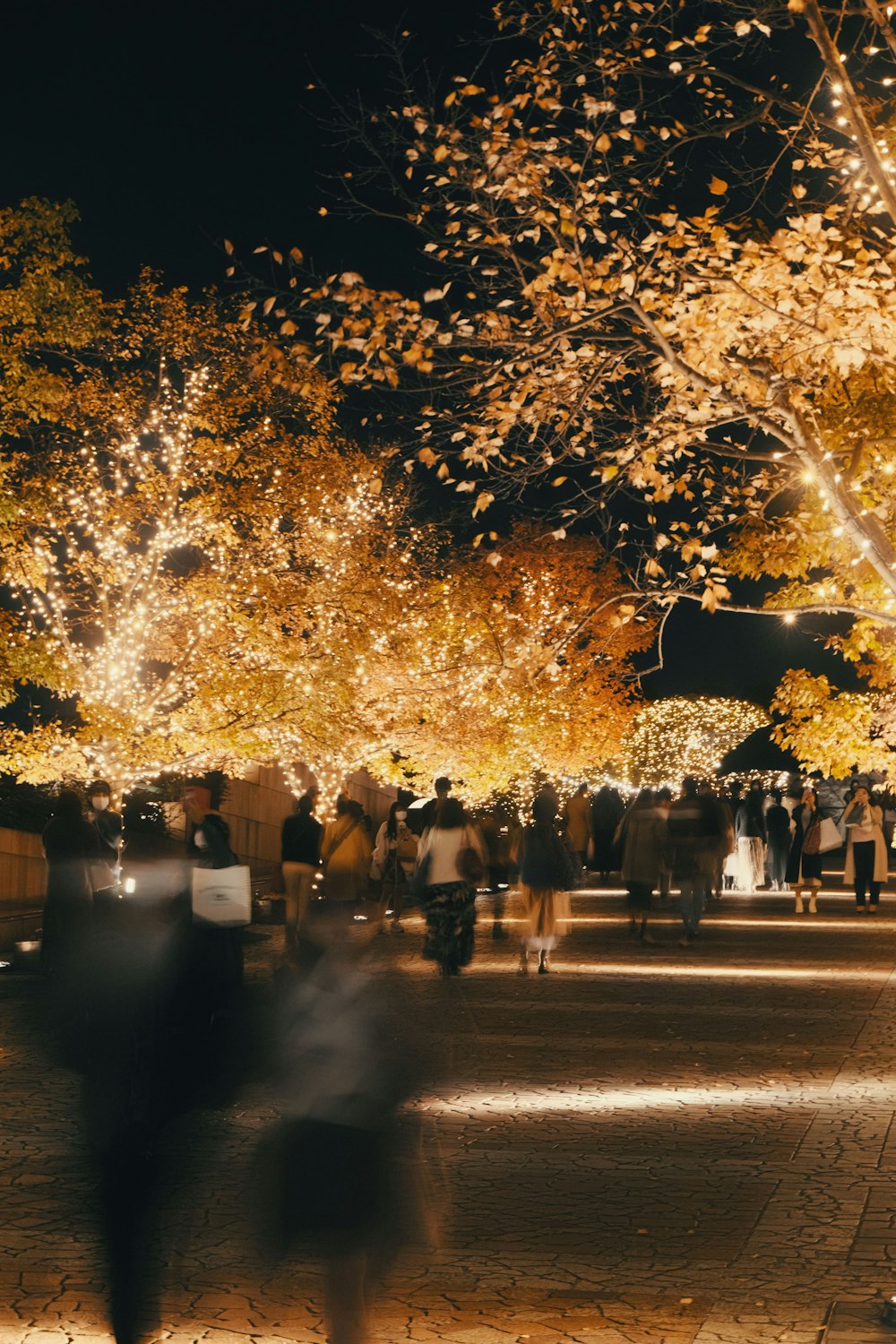 a group of people walking on a street with trees with lights