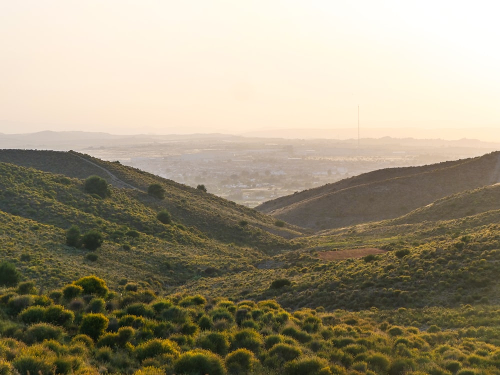 a landscape with hills and trees