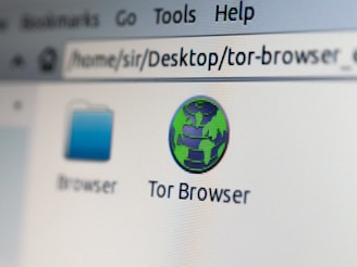 graphical user interface, text, application