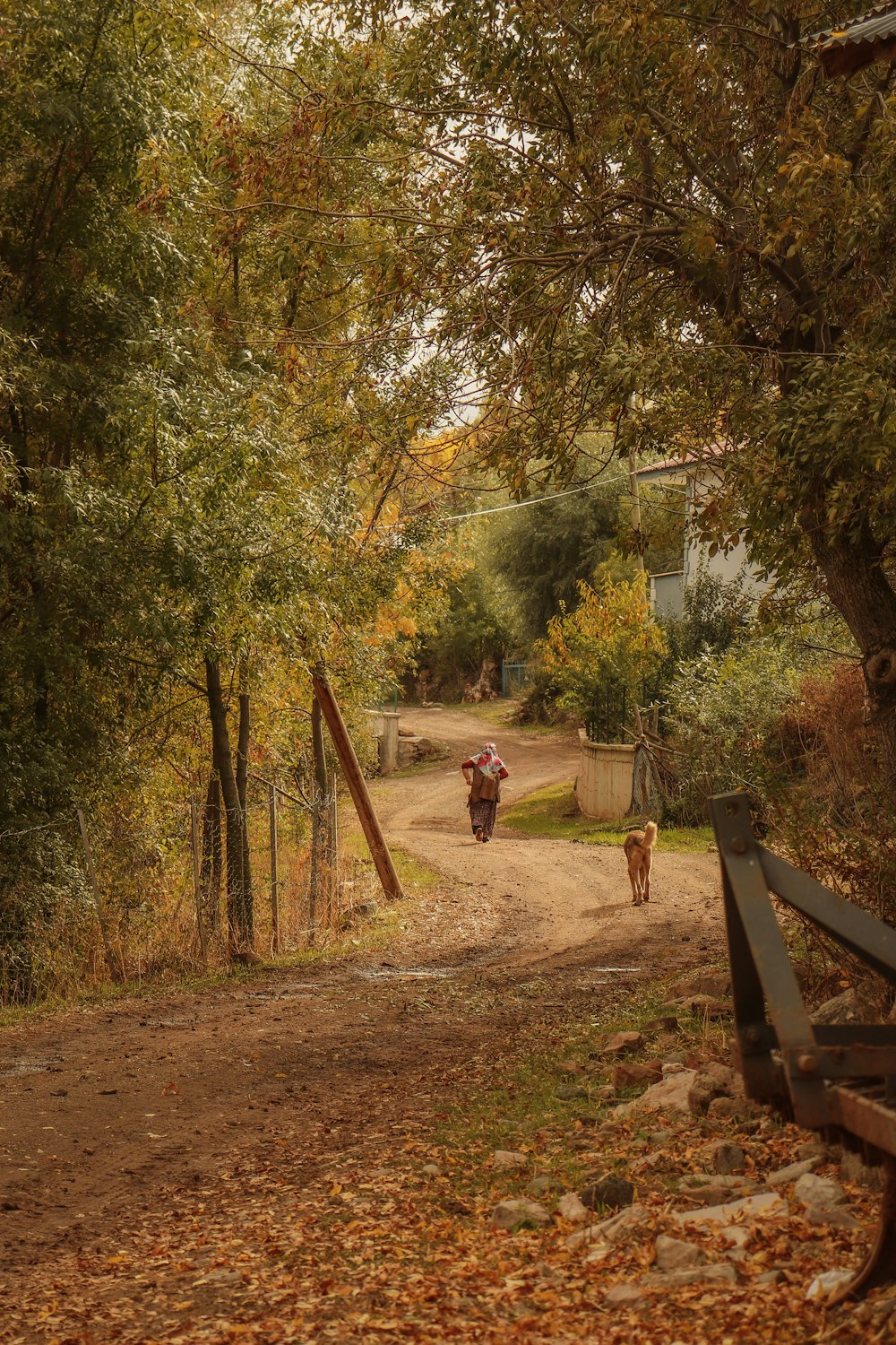 a person walking a dog on a path in a wooded area