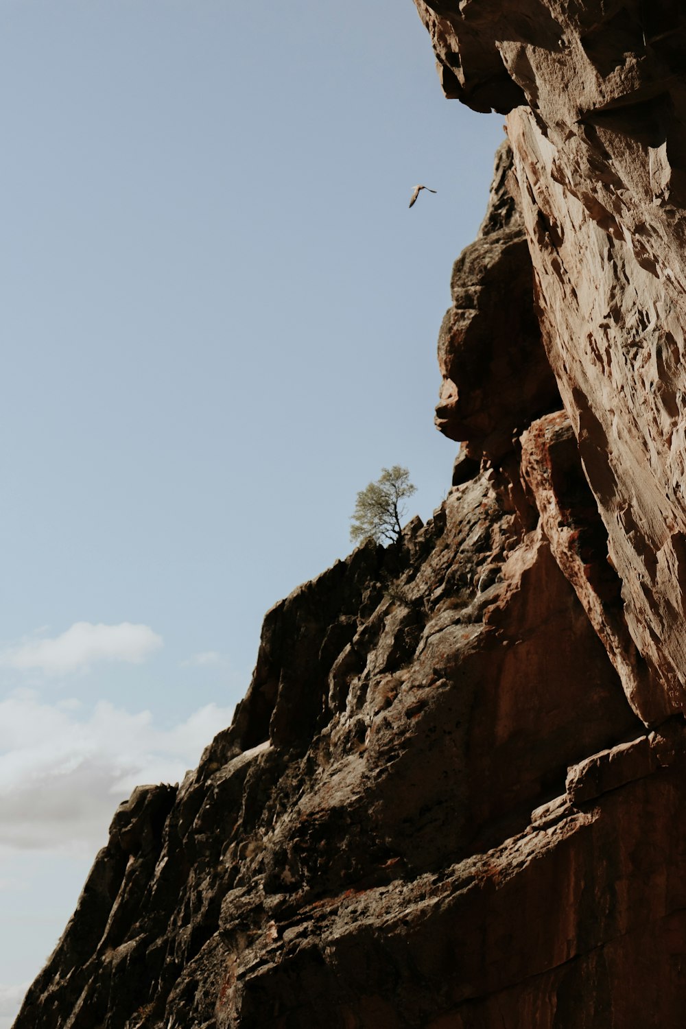 a bird flying over a cliff