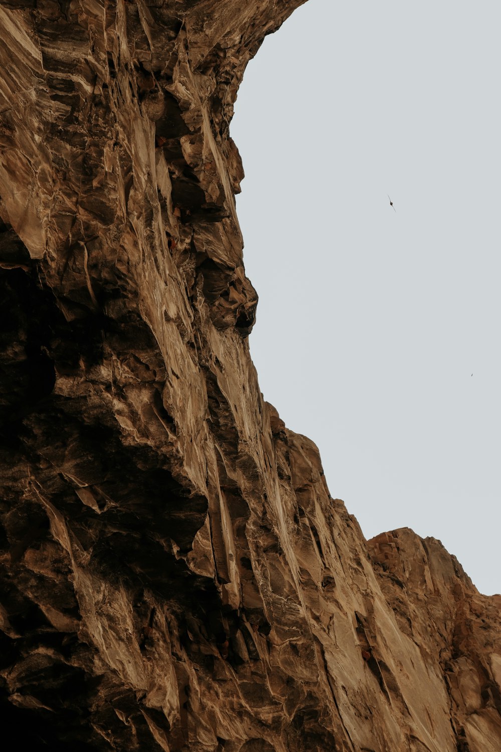 a cliff with a bird flying