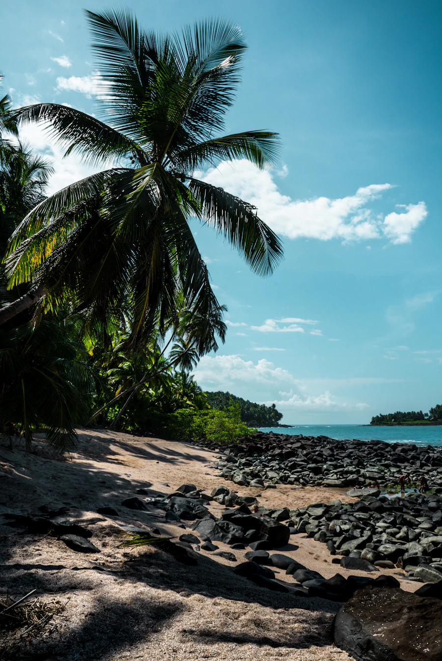 une plage de Guyane