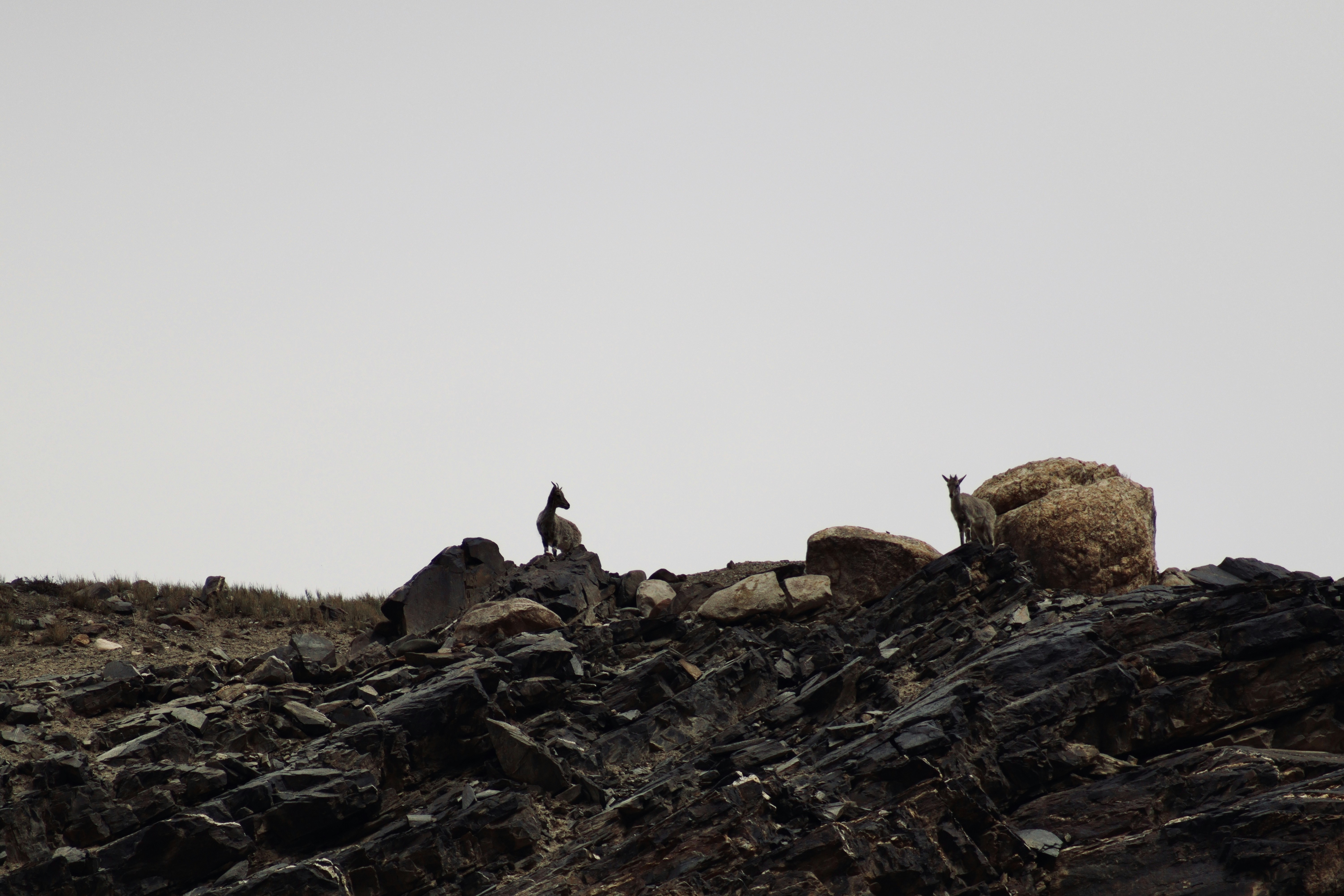 Photo by sangam_sharma