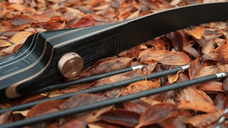 Best Hunting Arrows for Accuracy & Penetration