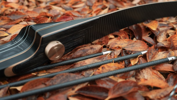 Best Hunting Arrows for Accuracy & Penetration