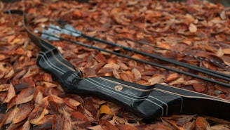Best Bow Cases & Travel Bags for Protecting Your Equipment