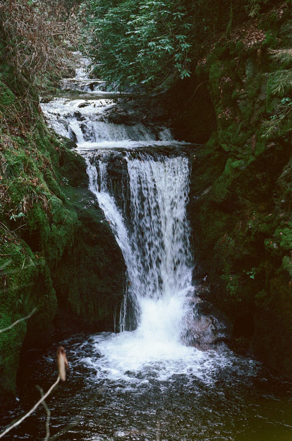 a waterfall in a forest