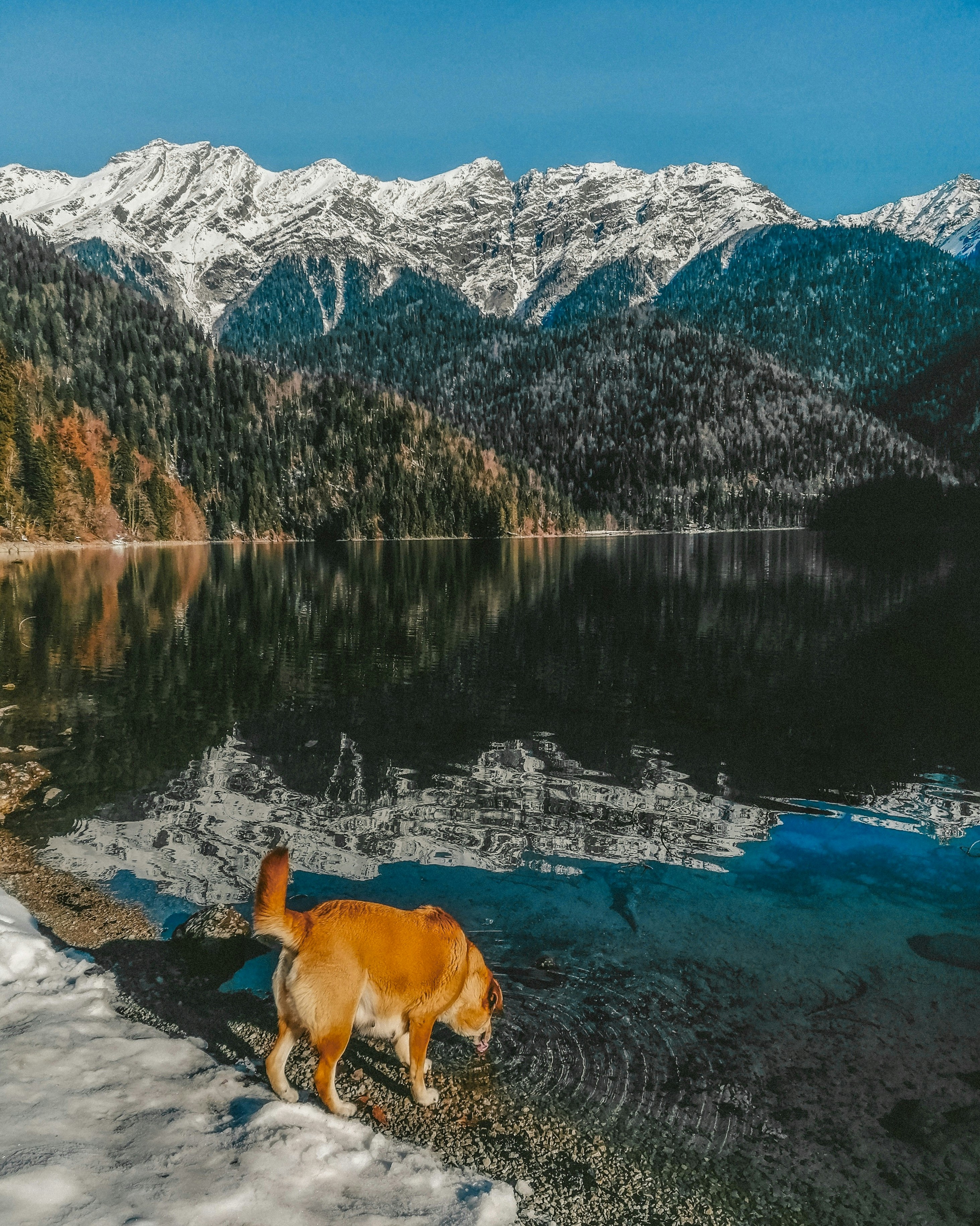 Photo by mariamaximova