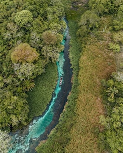 a river with a boat in it