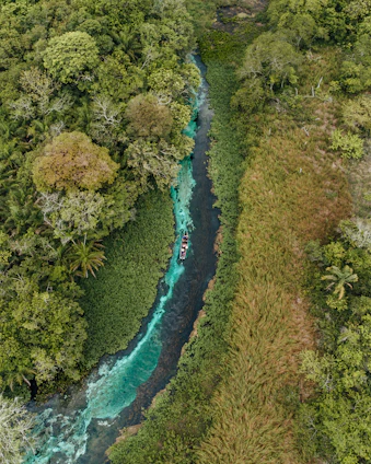 a river with a boat in it